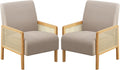 Brown Rattan Arm Accent Chair Set of 2
